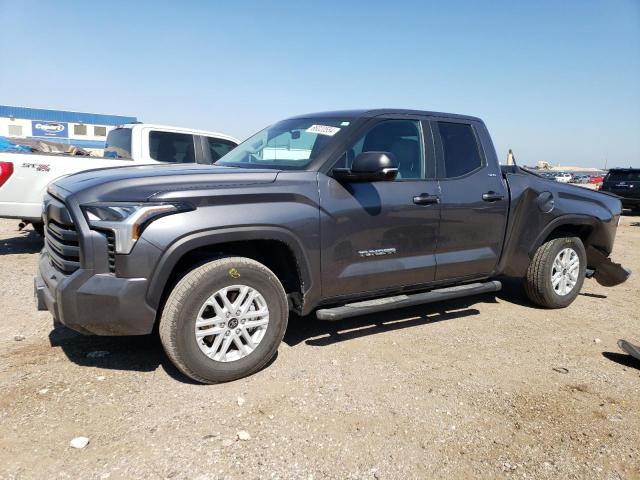 Photo 0 VIN: 5TFLA5DA2RX149881 - TOYOTA TUNDRA DOU 