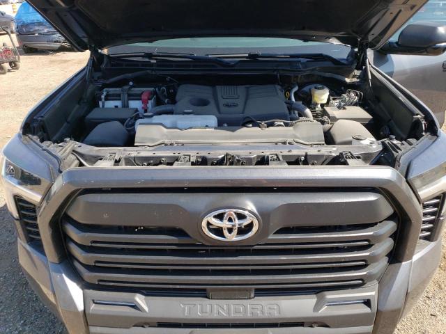 Photo 10 VIN: 5TFLA5DA2RX149881 - TOYOTA TUNDRA DOU 