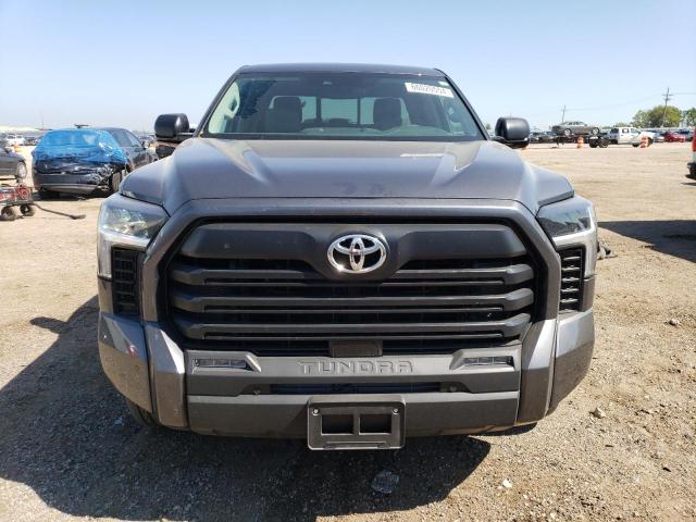 Photo 4 VIN: 5TFLA5DA2RX149881 - TOYOTA TUNDRA DOU 