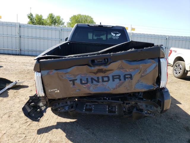 Photo 5 VIN: 5TFLA5DA2RX149881 - TOYOTA TUNDRA DOU 