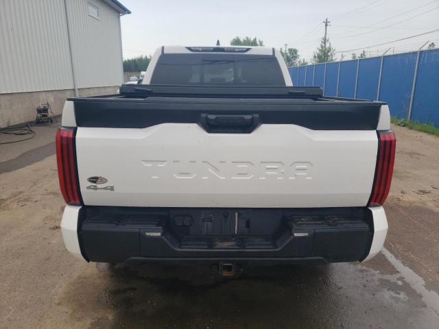 Photo 5 VIN: 5TFLA5DA4PX056986 - TOYOTA TUNDRA DOU 