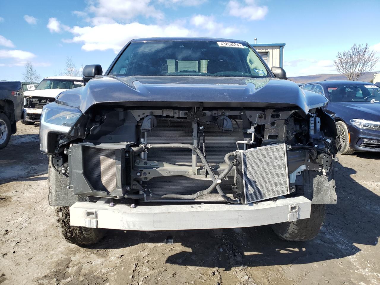 Photo 4 VIN: 5TFLA5DA4PX078292 - TOYOTA TUNDRA 