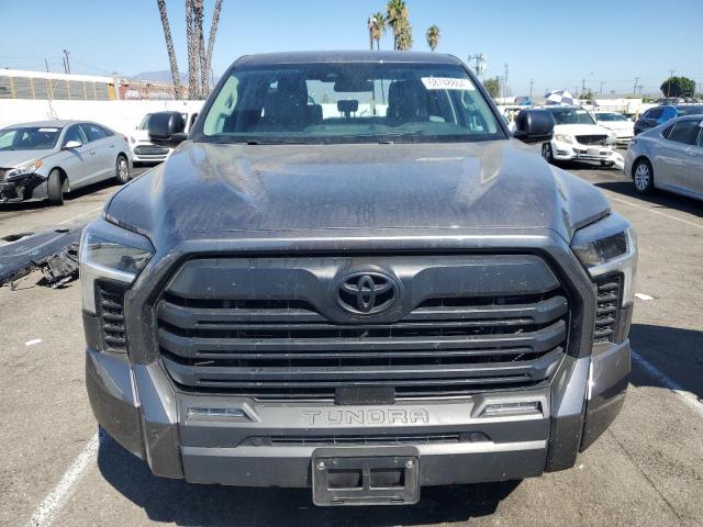 Photo 4 VIN: 5TFLA5DA6RX142609 - TOYOTA TUNDRA DOU 