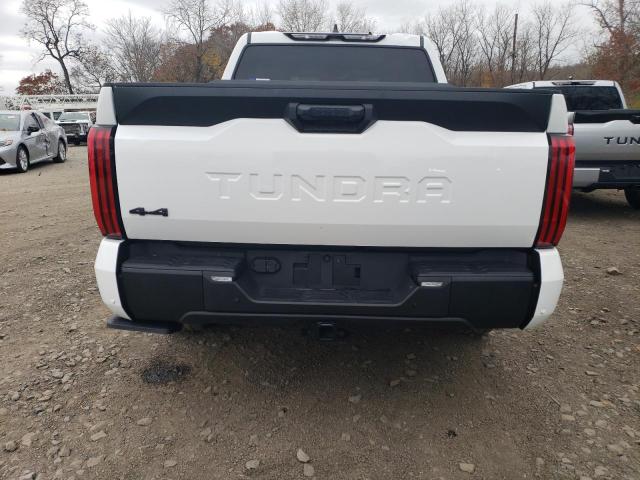 Photo 5 VIN: 5TFLA5DB0PX104315 - TOYOTA TUNDRA 