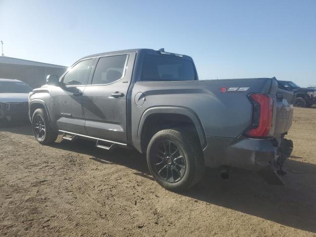 Photo 1 VIN: 5TFLA5DB1PX097813 - TOYOTA TUNDRA CRE 