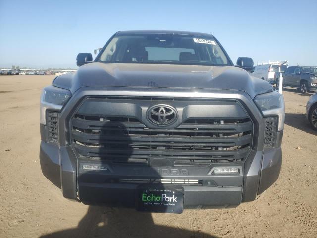 Photo 4 VIN: 5TFLA5DB1PX097813 - TOYOTA TUNDRA CRE 