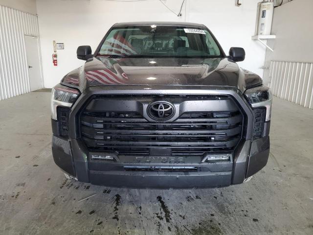 Photo 4 VIN: 5TFLA5DB1PX112309 - TOYOTA TUNDRA CRE 