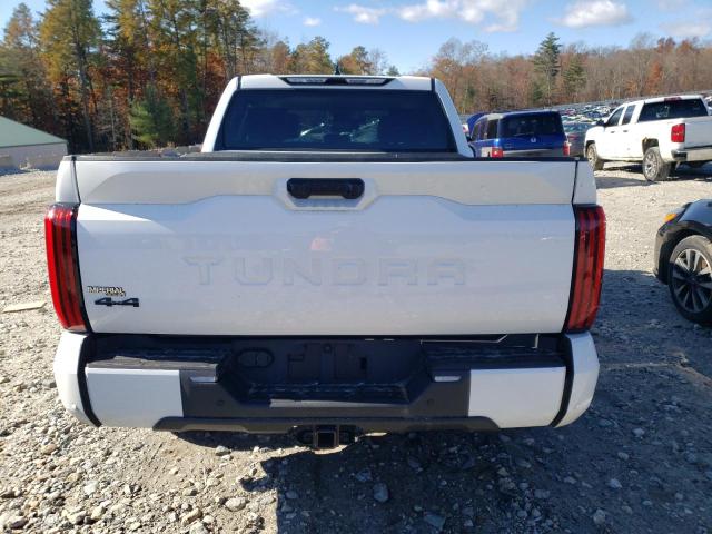 Photo 5 VIN: 5TFLA5DB1PX113413 - TOYOTA TUNDRA 