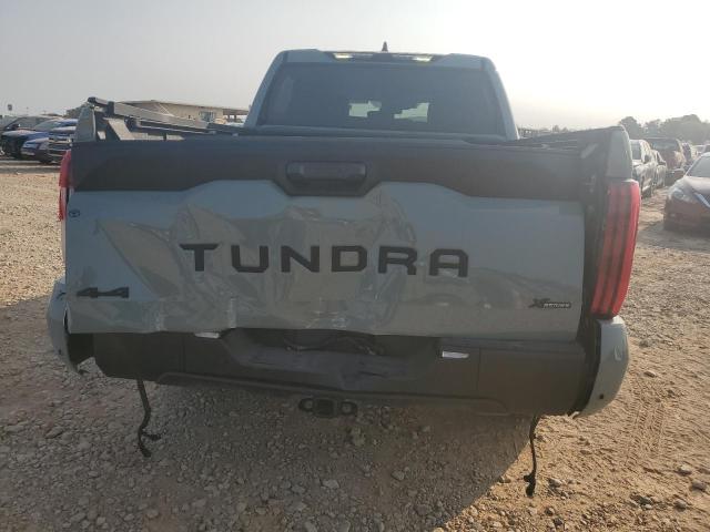 Photo 5 VIN: 5TFLA5DB1RX179141 - TOYOTA TUNDRA CRE 