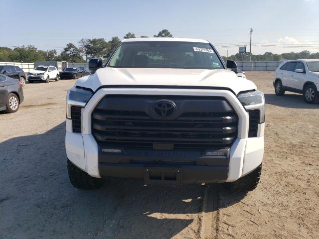 Photo 4 VIN: 5TFLA5DB2PX059264 - TOYOTA TUNDRA 