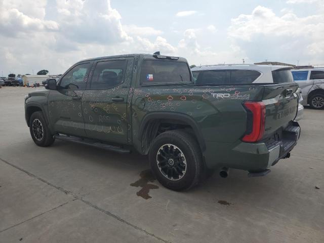 Photo 1 VIN: 5TFLA5DB2PX060608 - TOYOTA TUNDRA 