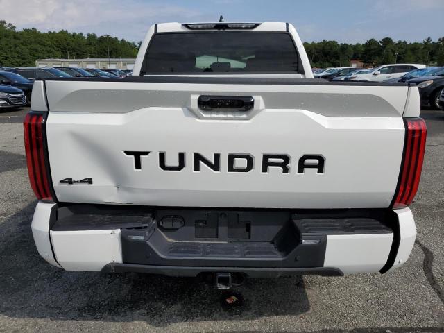 Photo 5 VIN: 5TFLA5DB2RX131096 - TOYOTA TUNDRA CRE 