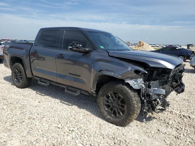 Photo 3 VIN: 5TFLA5DB8PX102442 - TOYOTA TUNDRA CRE 