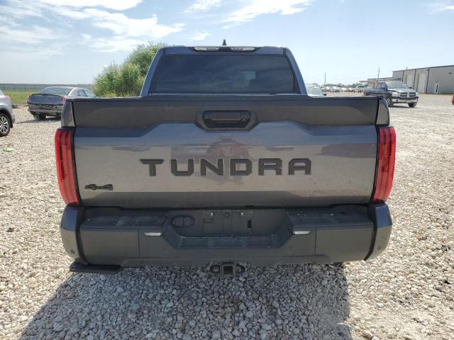 Photo 5 VIN: 5TFLA5DB8PX102442 - TOYOTA TUNDRA CRE 