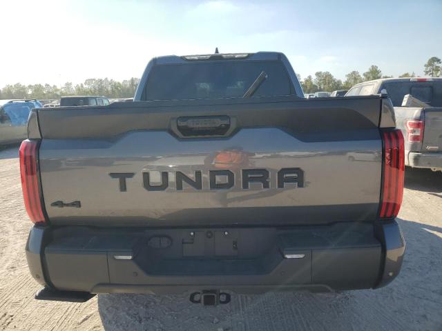 Photo 5 VIN: 5TFLA5DB8PX102442 - TOYOTA TUNDRA CRE 