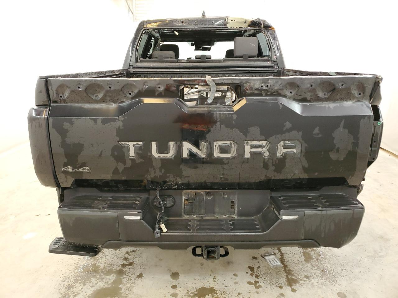 Photo 5 VIN: 5TFLA5DBXPX067032 - TOYOTA TUNDRA 