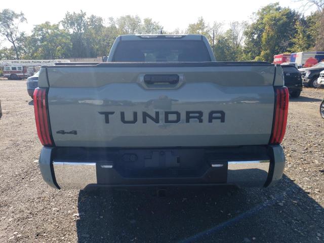 Photo 5 VIN: 5TFLA5EC0RX029433 - TOYOTA TUNDRA CRE 