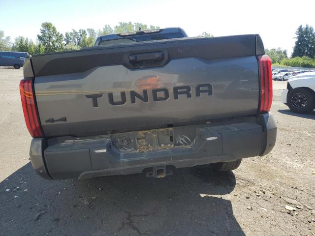 Photo 5 VIN: 5TFLA5EC9PX015639 - TOYOTA TUNDRA CRE 