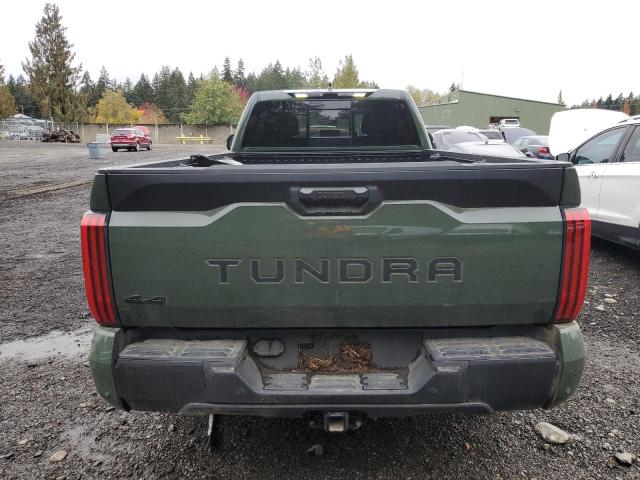 Photo 5 VIN: 5TFLA5GD1PX002065 - TOYOTA TUNDRA DOU 