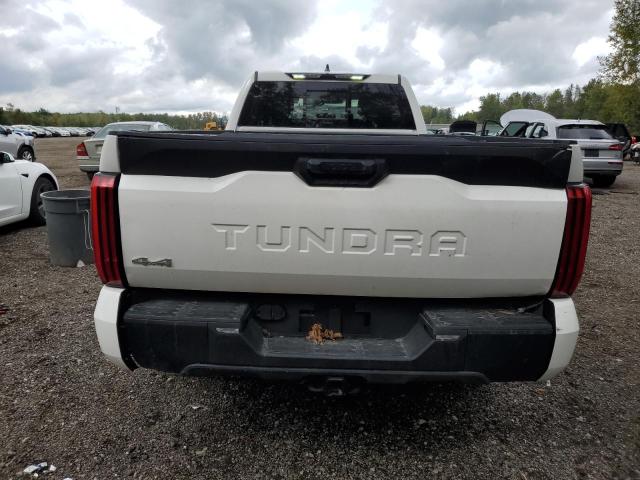 Photo 5 VIN: 5TFLA5GD1PX002115 - TOYOTA TUNDRA DOU 