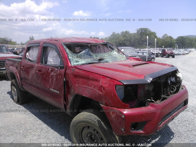 Photo 5 VIN: 5TFLU4EN3CX029744 - TOYOTA TACOMA 