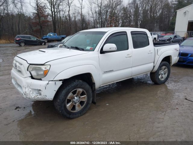 Photo 1 VIN: 5TFLU4ENXCX025030 - TOYOTA TACOMA 