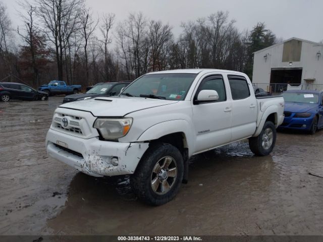 Photo 5 VIN: 5TFLU4ENXCX025030 - TOYOTA TACOMA 