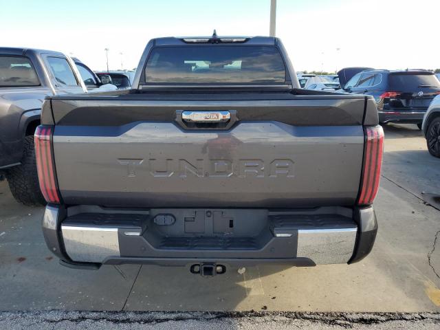 Photo 5 VIN: 5TFMA5AB1PX020609 - TOYOTA TUNDRA CRE 