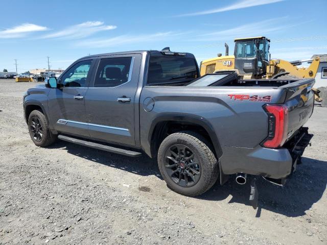 Photo 1 VIN: 5TFMA5DB3RX169859 - TOYOTA TUNDRA CRE 