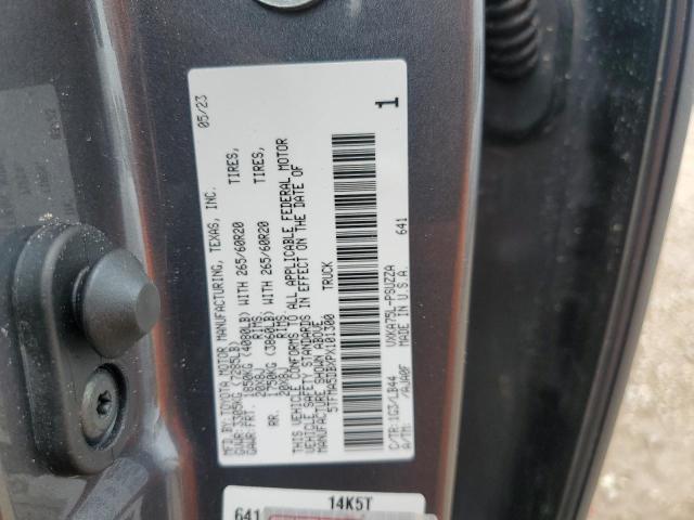 Photo 12 VIN: 5TFMA5DBXPX101300 - TOYOTA TUNDRA CRE 