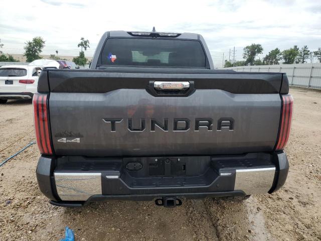 Photo 5 VIN: 5TFMA5DBXPX101300 - TOYOTA TUNDRA CRE 