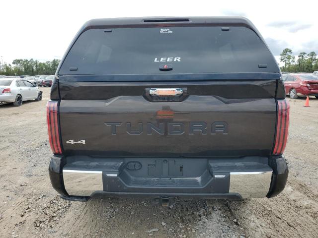 Photo 5 VIN: 5TFMA5DBXPX115200 - TOYOTA TUNDRA 