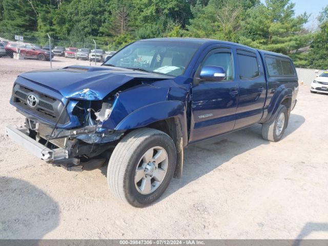 Photo 1 VIN: 5TFMU4FN1FX033783 - TOYOTA TACOMA 