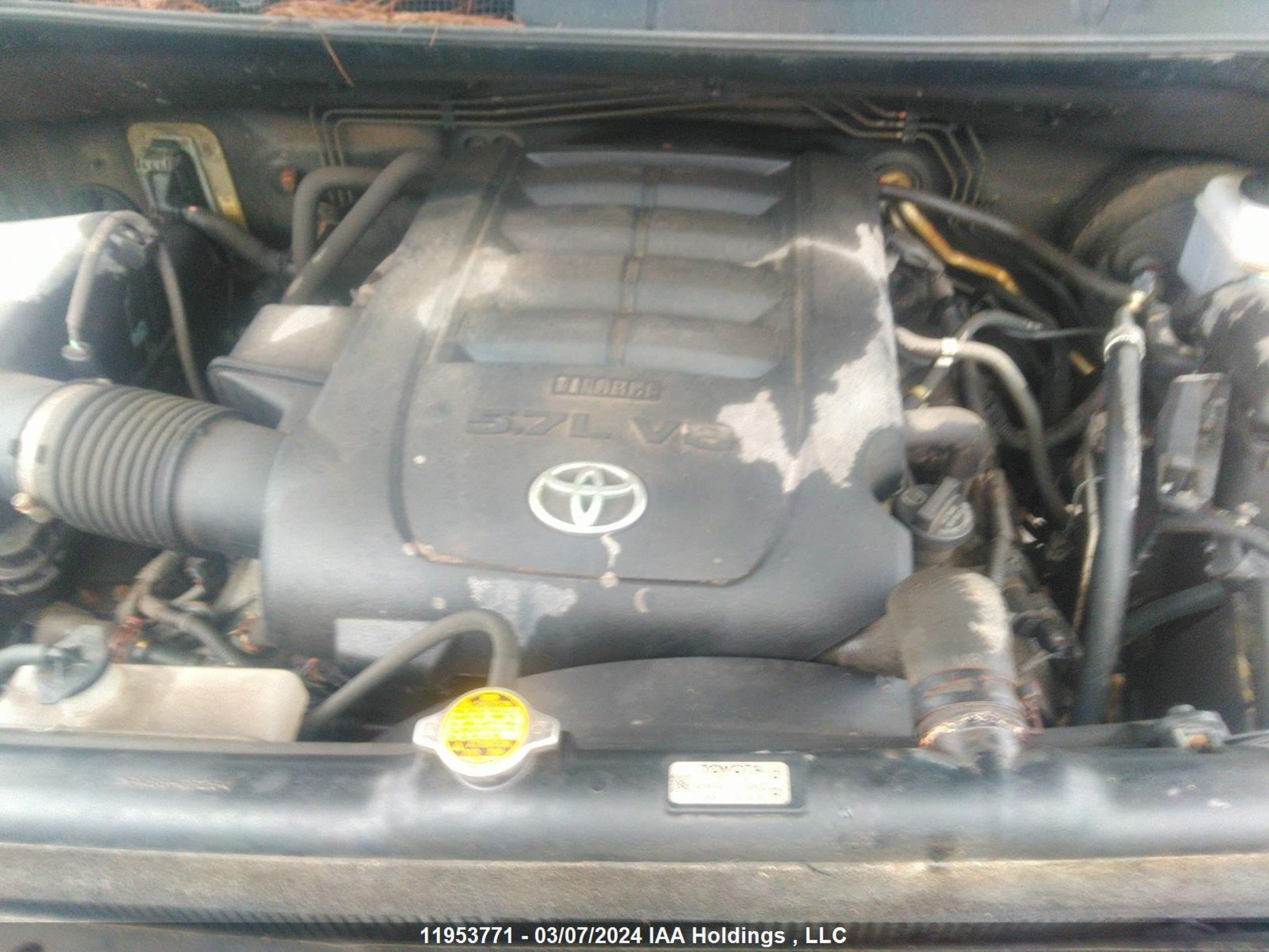 Photo 9 VIN: 5TFMY5F14BX195697 - TOYOTA TUNDRA 