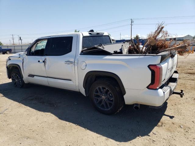 Photo 1 VIN: 5TFNA5DB2PX069964 - TOYOTA TUNDRA CRE 