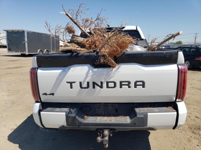 Photo 5 VIN: 5TFNA5DB2PX069964 - TOYOTA TUNDRA CRE 