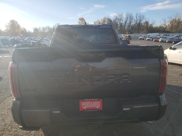 Photo 5 VIN: 5TFNA5DB3PX103913 - TOYOTA TUNDRA 