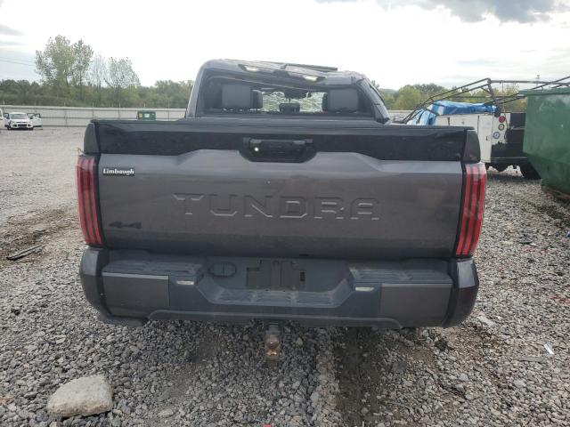 Photo 5 VIN: 5TFNA5DB6RX143809 - TOYOTA TUNDRA CRE 