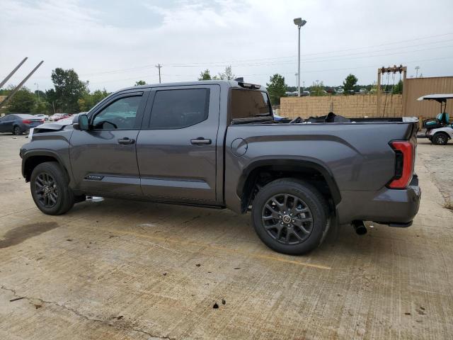 Photo 1 VIN: 5TFNA5DBXPX094188 - TOYOTA TUNDRA CRE 