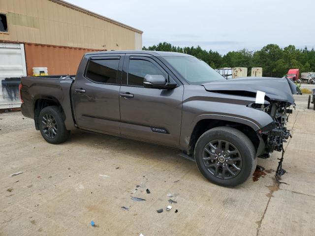 Photo 3 VIN: 5TFNA5DBXPX094188 - TOYOTA TUNDRA CRE 