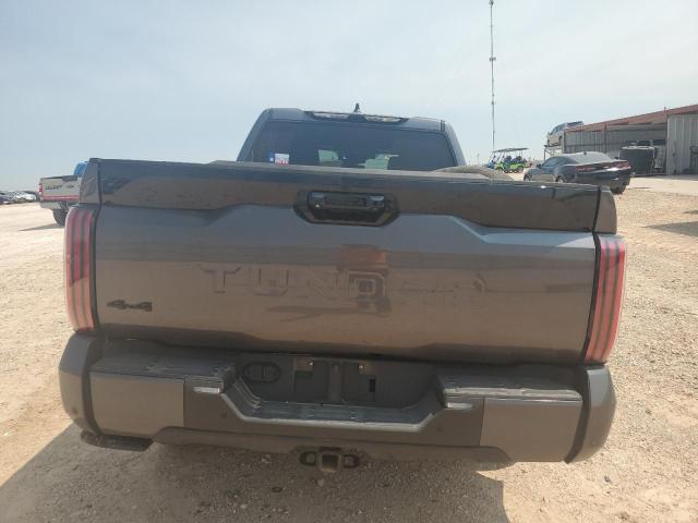 Photo 5 VIN: 5TFNA5EC3RX023733 - TOYOTA TUNDRA CRE 