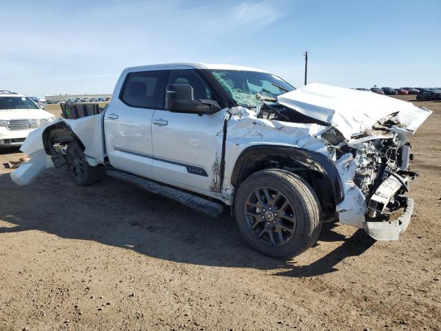 Photo 3 VIN: 5TFNA5EC8PX013888 - TOYOTA TUNDRA 