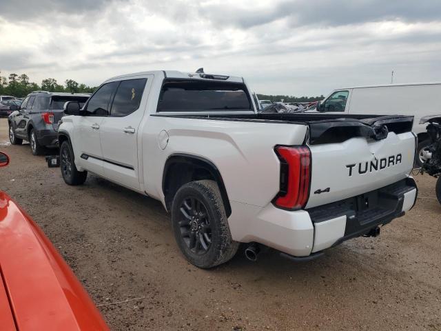 Photo 1 VIN: 5TFNA5ECXPX017327 - TOYOTA TUNDRA 