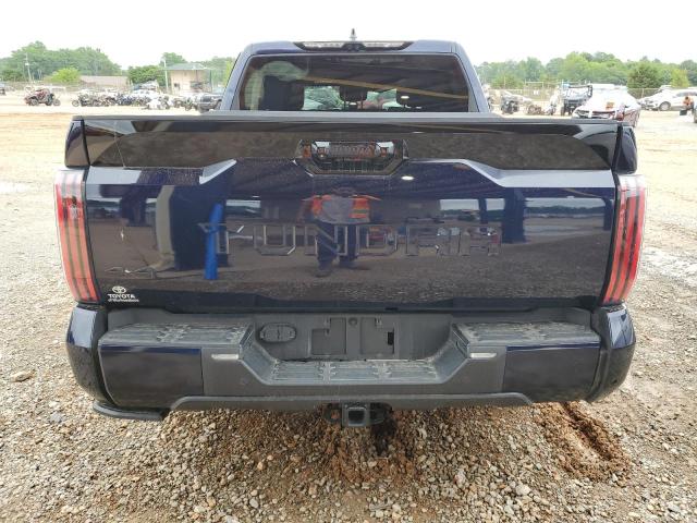 Photo 5 VIN: 5TFNC5DB2PX031760 - TOYOTA TUNDRA 