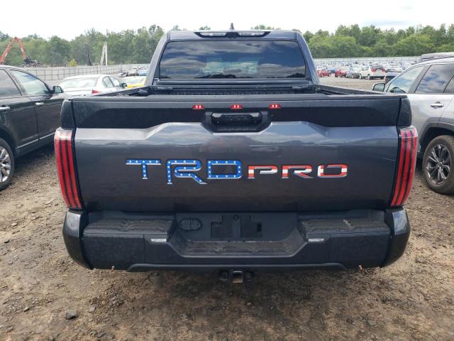 Photo 5 VIN: 5TFPC5DB1PX015378 - TOYOTA TUNDRA 