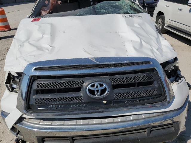 Photo 10 VIN: 5TFRY5F16AX087960 - TOYOTA TUNDRA DOU 