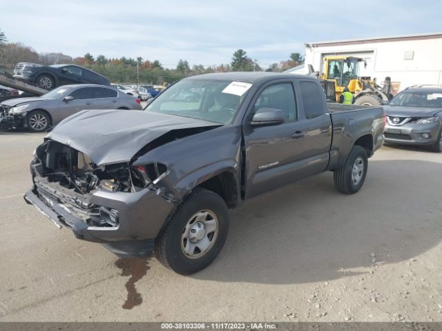 Photo 1 VIN: 5TFRZ5CN7GX010852 - TOYOTA TACOMA 