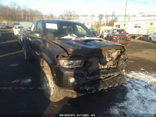 Photo 5 VIN: 5TFSZ5AN7GX041359 - TOYOTA TACOMA 