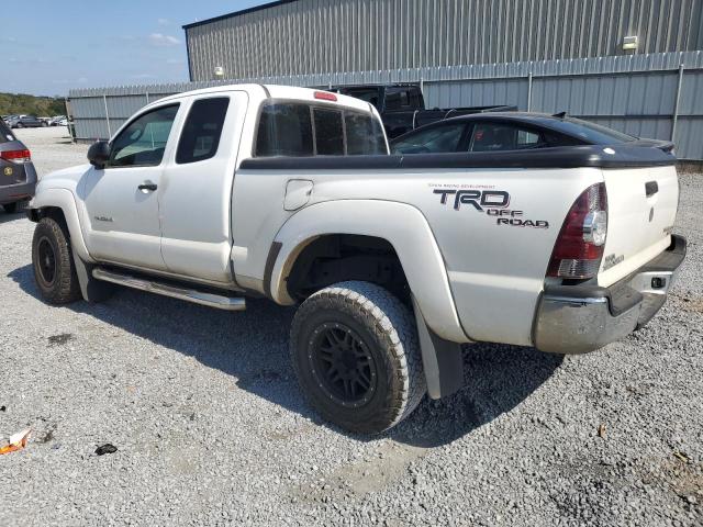 Photo 1 VIN: 5TFTX4GN3BX003454 - TOYOTA TACOMA 