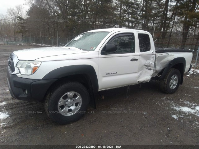 Photo 5 VIN: 5TFUU4EN6DX062999 - TOYOTA TACOMA 